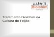 Tratamento Biolchim na Cultura do Feijãobiolchim.com.br/biolchim/wp-content/uploads/2016/10/Feijao-2016.pdfIntrodução •Localização: Pilar do Sul - SP •Produtor: Sérgio Okamura