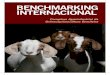 BENCHMARKING INTERNACIONAL - benchmarking internacional estudo do complexo agroindustrial ovinocaprinocultura