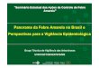 Panorama da Febre Amarela no Brasil e Perspectivas para a ... · 1686 a 1692 - Epidemia na Bahia (25.000 doentes / 900 mortos) 1692 a 1848 - SILÊNCIO 1849 - Epidemia na Bahia 1849/1861