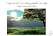 Os processos de obtenção de energia nos ecossistemas › adm › extras › Aula012703... · 2016-03-04 · os ecossistemas da nossa biosfera? sol Marte. 2) Qual é a principal