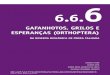 GaFanHOTOS, GRILOS E ESPERan£§aS (ORTHOPTERa) 2019-02-19¢  grilos, paquinhas, gafanhotos e esperan£§as