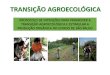 Apresentação do PowerPoint...2018/08/07  · 2.038 unidades produtoras (agosto/2018) O que é Transição Agroecológica Processo gradual orientado de transformação das bases produtivas