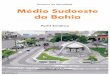 Perfil Médio Sudoeste da Bahia · O Médio Sudoeste faz divisa com o estado de Minas Gerais, mas não é cortado por nenhuma rodovia federal, embora se situe próximo à BR 101