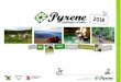 INFO Campamento Verano Pyrene 2018 MINAIRONS CAST · creado múltiples programas para niños, jóvenes y adultos en bici, motivado por las posibilidades de encuentro de la naturaleza