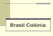 Brasil Colônia - escolasaojorge.com.brescolasaojorge.com.br/site/wp-content/uploads/2014/06/127663536… · Brasil Colônia . O Brasil pré-colonial ... interior, no sul da colônia