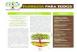 FLORESTA PARA TODOS · 2014-01-14 · plano nacional e internacional, sensibilizar a sociedade para a promoção da gestão sustentável, conservação e desenvolvimento das florestas