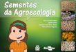 Sementes da Agroecologia€¦ · mas convencionais, permitindo apenas o uso de sementes e mudas orgânicas. Esse prazo foi prorrogado e a partir de 2016, cada Estado deverá produzir