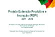 Projeto Extensão Produtiva e Inovação - Secretaria …...Projeto Extensão Produtiva e Inovação (PEPI) 2011 –2018 Seminário de Inovação, Ciência e Tecnologia: Estratégias
