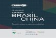 CENTRO BRASILEIRO DE RELAÇÕES INTERNACIONAIS · O segundo direcionou as discussões para as tendências e desafios em comércio e investimentos a partir da cooperação econômica