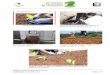 Apresentação do projeto 100kg de resíduos de pré e pós-preparo … · 2019-04-29 · Cargo: Engenheiro de Meio Ambiente da ArcelorMittal Vega E-mail: jose.alberto@arcelormittal.com.br