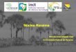 Núcleo Roraima - PPBio INPA · 5 Módulos na região da Serra da Lua (Bonfim – RR): Mosaico de plantios de Acacia mangium de seis diferentes idades, remanescentes de lavrado, floresta