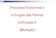 Processos Evolutivos e a Origem das Plantas Cultivadas I … · 2019-09-19 · Processos Evolutivos e a Origem das Plantas Cultivadas I (Mutação) Evolução => mudanças na diversidade