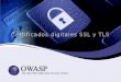 Certificados digitales SSL y TLS - OWASPSSL/TLS • Los referenciamos como un protocolo que provee un canal seguro entre dos dispositivos • El diseño del SSL inicia en 1994 por