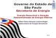 Governo do Estado de São Paulo - AEAMESP · Governo do Estado de São Paulo Secretaria de Energia ... Atendimento à Política Estadual de Mudanças Climáticas ... mflavio@sp.gov.br