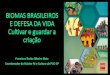 BIOMAS BRASILEIROS E DEFESA DA VIDA Cultivar e guardar …arquivo.anec.org.br/.../uploads/sites/21/2016/11/5-BIOMAS-BRASILEIROS-CF2017.pdfBIOMAS BRASILEIROS E DEFESA DA VIDA Cultivar