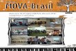 Retratos do Projeto MOVA-Brasil 2012: conquistas e desafios · As parcerias, desde a origem do Mova em 1989, na cidade de São Paulo, sempre foram a essência dessa iniciativa da