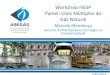Workshop FIESP Painel: Usos Múltiplos do Gás Natural · Regulamentação Oportunidades 5. Cadeia do Gás Natural e Figuras da Lei do Gás Consumo Final Industrial e comercial Consumo