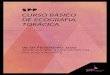 CURSO BأپSICO DE ECOGRAFIA TORأپCICA 2020-01-20آ  de ecografia torأپcica sede da spp e upi/hpv-chuln