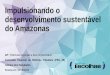 Impulsionando o desenvolvimento sustentável do Amazonas · internacionalização de negócios e empresas INTEGRAÇÃO CADEIAS 3. ... desenvolvimento e treinamento de técnicas e