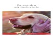 Compreenda a epilepsia do seu cão › MEDIA › loja › PPVD_NeuroCare... · Assegure-se que o seu cão que sofre de epilepsia possui uma placa identificativa que mencione o seu