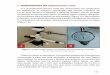 1. MORFOMETRIA DO Trypanosoma cruzi · 2012-05-29 · 113 1. MORFOMETRIA DO Trypanosoma cruzi É o procedimento técnico onde são mensuradas, em centímetros ou milímetros, as imagens