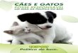 CÃES E GATOS - Roberto Tripolicomércio de cães e gatos, e foi regula-mentada pelo Decreto 49.393, de 10 de abril de 2008 (os textos, na íntegra, estão no site ). Canis, gatis