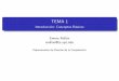 TEMA 1 - Introducción: Conceptos Básicos · TEMA 1 Introducci´on: Conceptos B ´asicos Emma Roll´on erollon@cs.upc.edu Departamento de Ciencias de la Computaci´on ´Indice 1