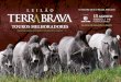 HORÁRIO DE BRASÍLIA TOUROS MELHORADORES 39 ANOS …Pagamento em 30 parcelas (1+29) para touros de central. Desconto especial para pagamento à vista. TOUROS DE CENTRAL À VENDA NA