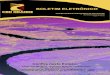 BOLETIM ELETRÔNICO · 2019-10-23 · BOLETIM ELETRÔNICO Abril/Maio/Junho de 2018 Edição 04 / Ano 03 Posse dos Membros - Processo Eleitoral Complementar Oficina Afluentes Mineiros
