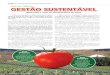 Apurando o risco na tomaticultura de mesa · matéria é “Sim, economicamente, sim, mas o negócio pre-cisa ser sustentável também financeiramente.” Isso significa que a gestão