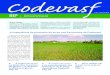 A importância da produção de arroz nos Perímetros da Codevasf › ... › edicoes-anteriores › bip-4.pdf · no Baixo São Francisco Sergipano – 4ª Superin-tendência Regional