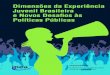 Dimensões da Experiência Juvenil Brasileira e Novos Desa ...fopir.org.br › wp-content › uploads › 2017 › 01 › livro... · desigualdades no acesso à educação superior