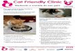Cat Friendly Clinic · Como mudar a alimentação do seu gato ... manteiga, um pedaço pequeno de queijo, carne ou peixe) ou mesmo macerados e misturados com um petisco saboroso,