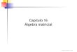 Capítulo 16 Álgebra matricialrdahab/cursos/matlab/...úteis para resolver problemas numéricos de álgebra linear. Na seção 16.2 do livro há uma tabela com uma descrição sucinta