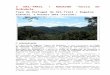 Início | Grândola€¦ · Web viewAPRESENTAÇÃO O I Ori-Trail Rogaine “Serra de Grândola” é uma iniciativa do Clube da Natureza de Alvito (CNAlvito) e do Clube de Orientação