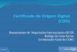 Certificado de Origem Digital (COD) · ALADI Funcionário habilitado à época da emissão do COD a representar a entidade certificadora. Sistema Aduanero de Recepción y Validación