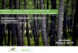 PIDFCI Plano Intermunicipal De Defesa da Floresta Contra … · 2019-05-20 · I.12 Espaços florestais I.13 Povoamentos florestais I.14 Áreas Protegidas, Rede Natura 2000 e regime