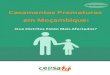 Casamentos Prematuros em Moçambiquecepsamoz.org/wp-content/uploads/2017/05/CEPSA...de lugares de maior vulnerabilidade e a visualização de áreas onde certos factores convergem