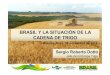 EMBRAPA - Brasil y la situacion de la cadena de trigo.pptx ... · CERDO CARNE DE RES. Agricultura Brasileña Crescimiento de la Produtividad Agricola - Granos ... ØExceso de lluvias
