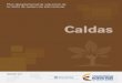 DEPARTAMENTO DE CALDAS - Centro de Conocimiento › ... › Docs › plan-departamental-drogas-caldas.pdf · 2017-02-27 · 6 En cumplimiento de lo anterior, el Departamento de Caldas,