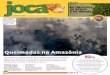 As florestas no Brasil e no mundo - jornaljoca.com.br...As florestas no Brasil e no mundo pág. 9 Coleção ... No en-tanto, de acordo com o Instituto de Pesquisa Ambiental da Amazô-nia