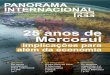 25 anos de Mercosul - Panorama Internacional FEEpanoramainternacional.fee.tche.br/wp-content/... · O Mercosul potencializa o Brasil André Luiz Reis da Silva página 19 Mercosul: