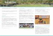 新闻简报 #2 - Aquis Farmaquisfarm.com/wp-content/uploads/2017/01/16-12_AF... · 赞助11月11 & 12日于四川成都赛马会举行的一 场赛事。 该赛事由中国马术协会、国家体育局和香港赛