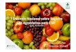 I Encontro Nacional sobre Registro de Agrotóxicos para CSFI · culturas, como: feijão, tomate, batata, cebola, alho, cenoura, mandioca e melancia, entre outras. É efetivo contra