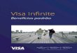 VISA INFINITE€¦ · Visa Infinite 3 A.1 Sobre este Guia Este documento tem por objetivo servir como guia de rápida consulta para os benefícios padrão oferecidos aos Portadores