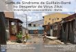 Surto de Síndrome de Guillain-Barré no Despertar do …portalms.saude.gov.br › images › pdf › 2017 › setembro › 19 › Brazil...Surto de Síndrome de Guillain-Barré no