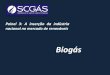 Projetos de Biogas - Instituto Ideal€¦ · Slide11/13 •Realização de políticas de apoio para a cadeia do biogás •Utilização de biogás como estímulo x obrigação legal?
