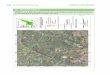 Floresta Estadual de Guarulhos VERSÃO PRELIMINAR · 2017-11-03 · • análise e junção do material produzido para a confecção de mapa e tabela explicativa. As ocorrências