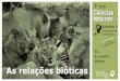 2.3. bióticas As relações bióticas - José Carlos Morais · 2014-07-27 · Relações Bióticas Simbiose Interespecíficas morais josé carlos 2014 Organização do EcossistemasHeinrich