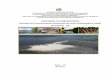 Revisão do Licenciamento Ambiental da Usina Hidroelétrica ... · Revisão do Licenciamento Ambiental da Usina Hidroelétrica (UHE) de Tucuruí - PA Belém – PA Maio/2017. 